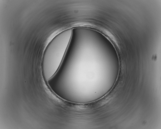 X0000090761330200707201045