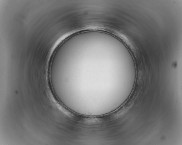 X0000090761331200707201045