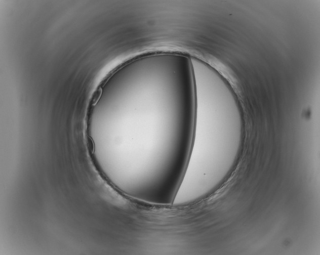 X0000090761334200707201045