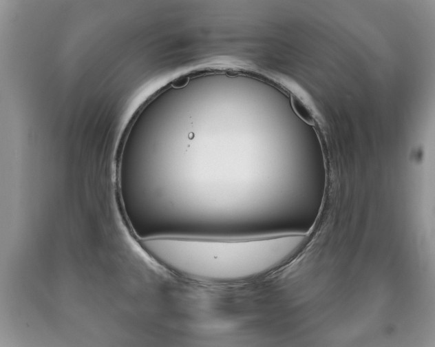 X0000090761335200707201045