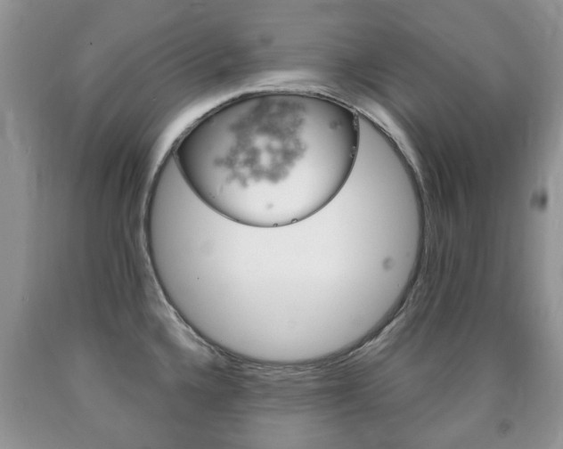 X0000090761336200707201045