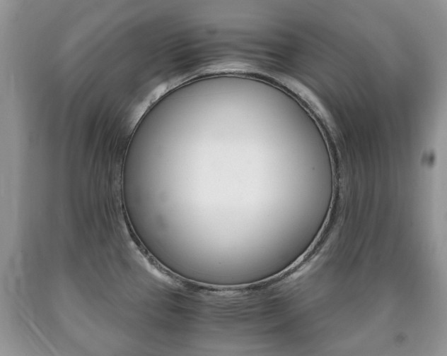 X0000090761337200707201045
