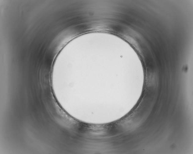 X0000090761338200707201045