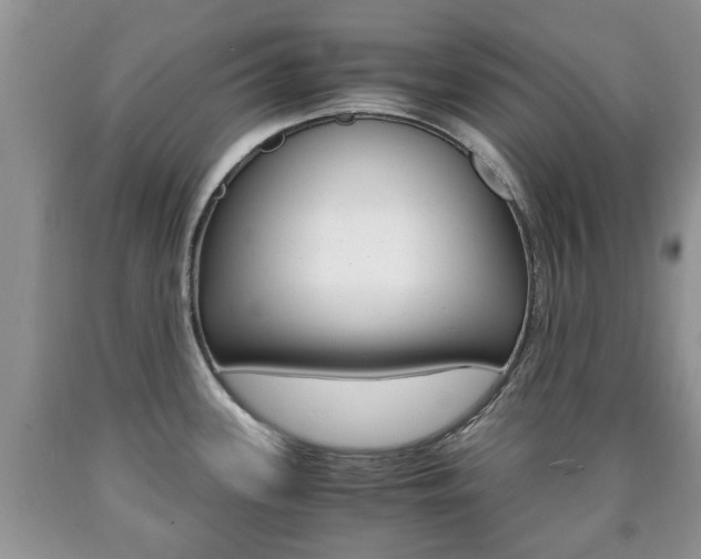X0000090761339200707201045