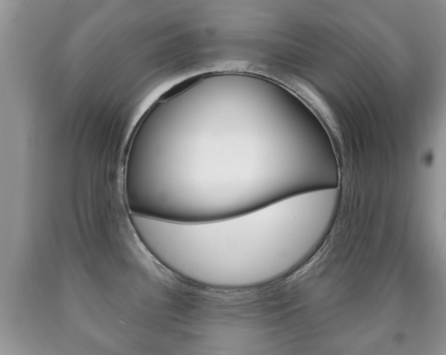 X0000090761340200707201045