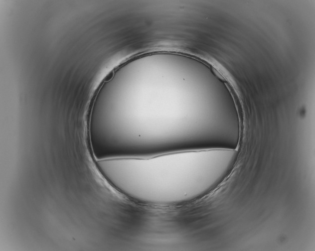 X0000090761341200707201045