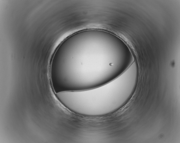 X0000090761342200707201046