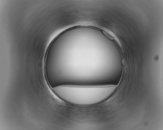 X0000090761343200707201046