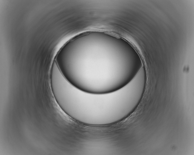 X0000090761344200707201046