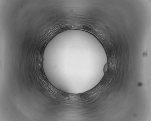 X0000090761346200707201045