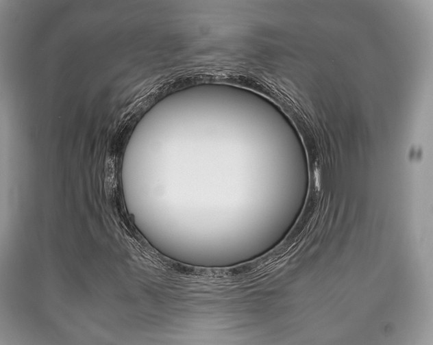 X0000090761347200707201045