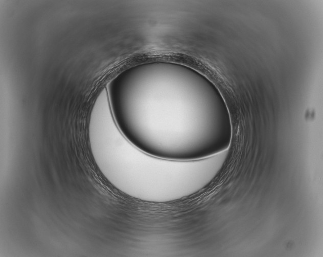 X0000090761348200707201045