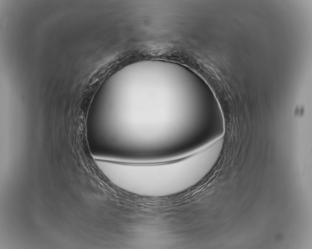 X0000090761349200707201045