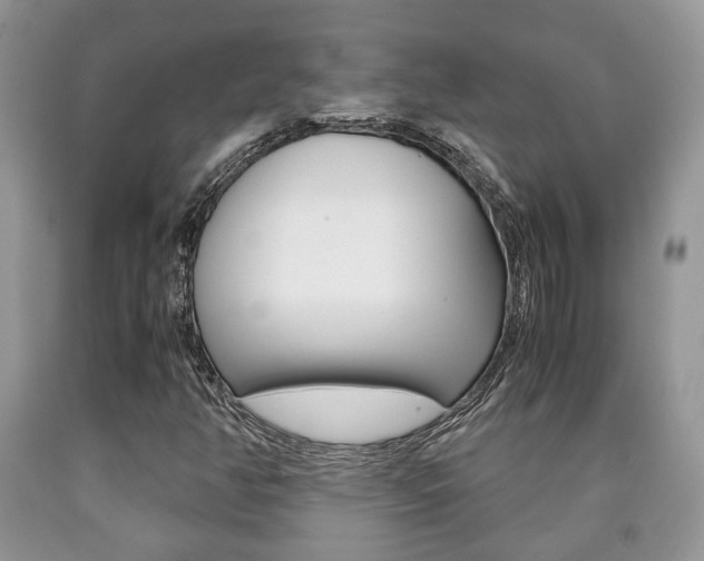 X0000090761350200707201045