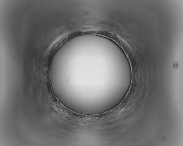 X0000090761351200707201045