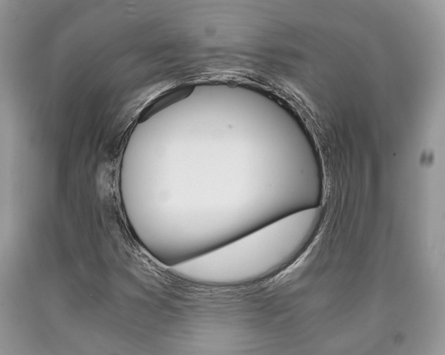 X0000090761353200707201045
