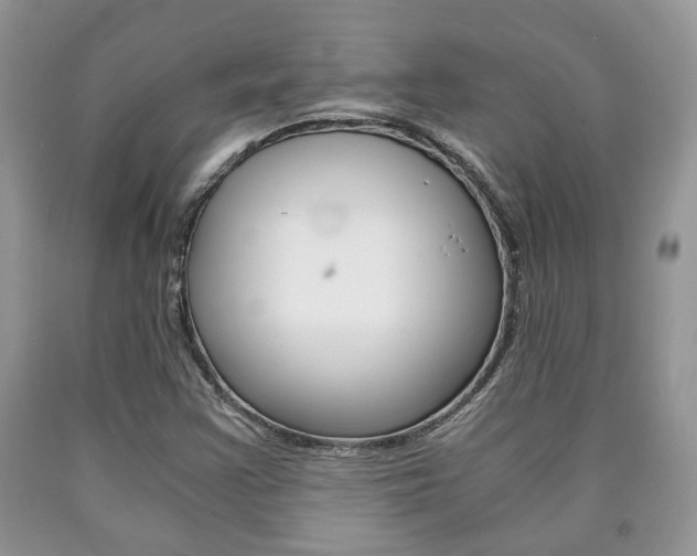 X0000090761355200707201045