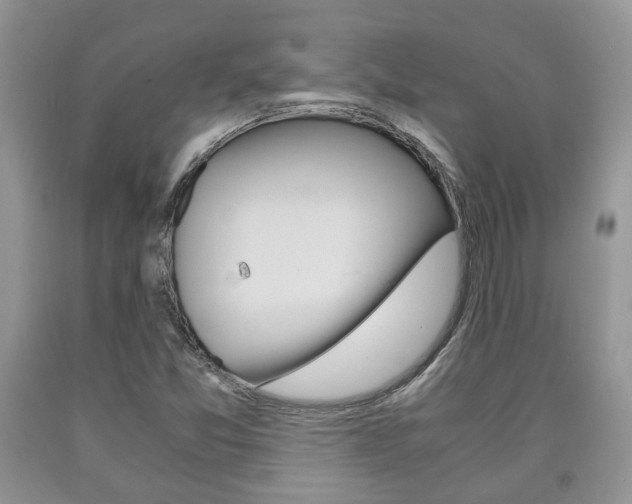 X0000090761357200707201045