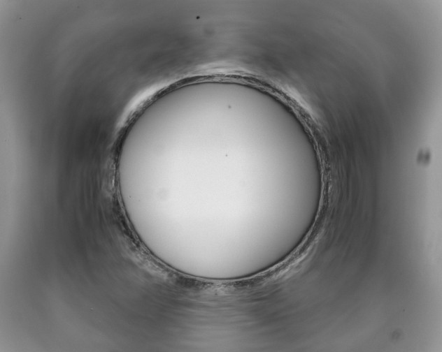 X0000090761358200707201045