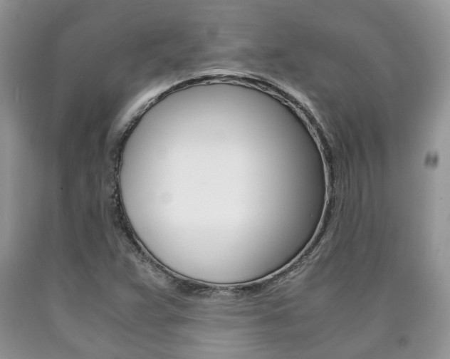 X0000090761359200707201045