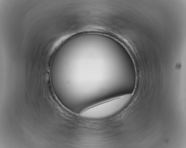 X0000090761363200707201045