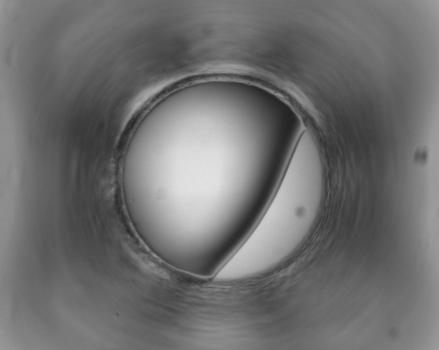 X0000090761364200707201045
