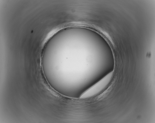 X0000090761365200707201045
