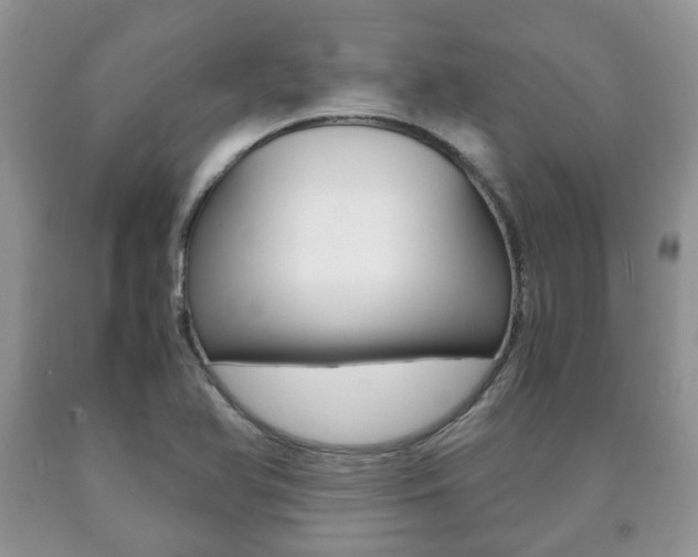 X0000090761366200707201045