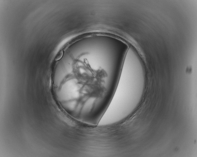 X0000090761368200707201045