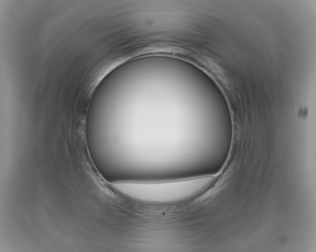 X0000090761369200707201045
