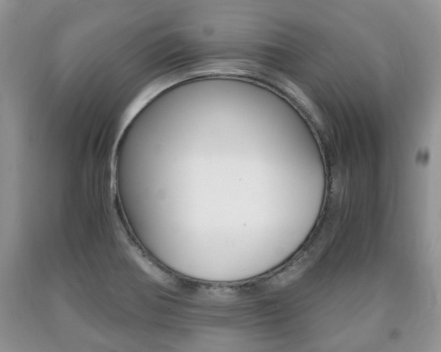 X0000090761370200707201045