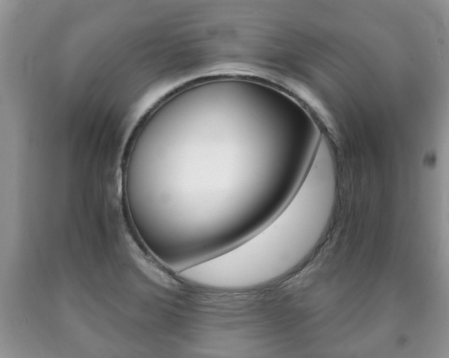 X0000090761372200707201045