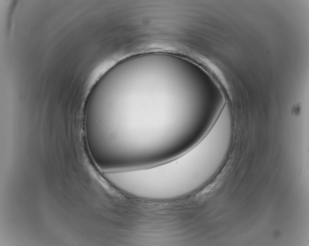 X0000090761373200707201045