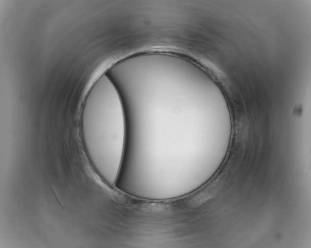 X0000090761374200707201045
