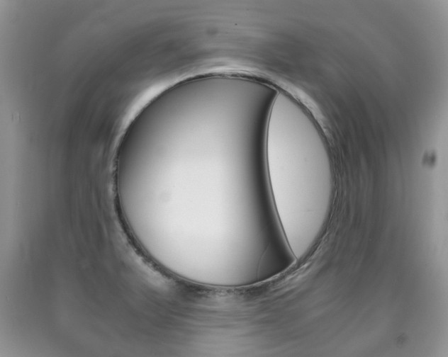 X0000090761375200707201045