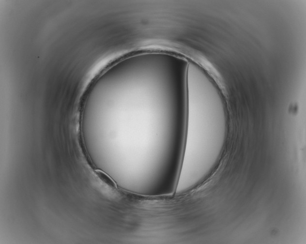 X0000090761376200707201045