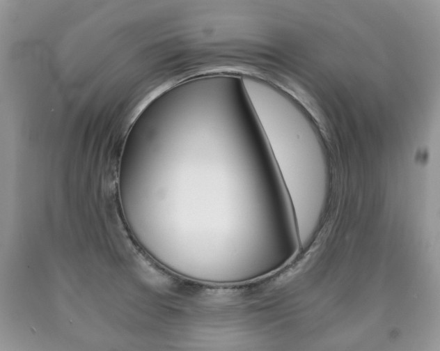 X0000090761377200707201045