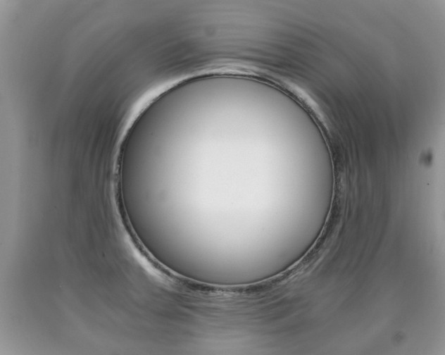 X0000090761379200707201045