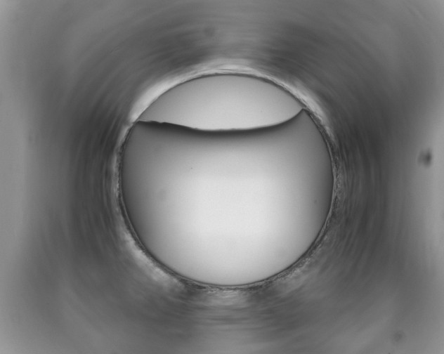 X0000090761382200707201044