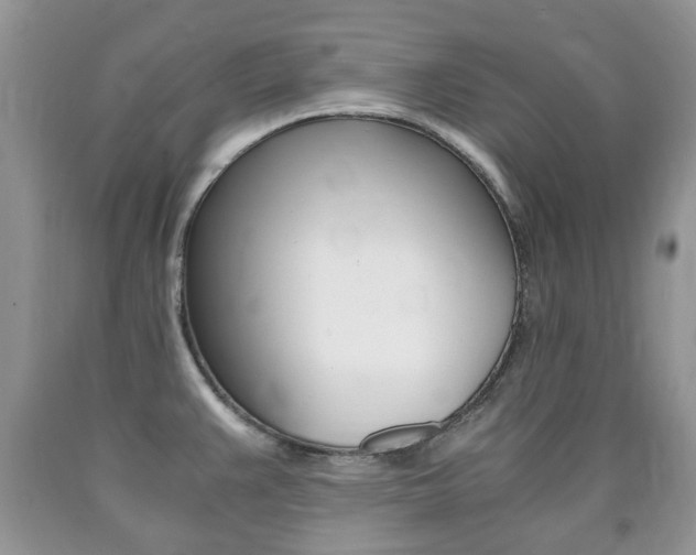 X0000090761383200707201044
