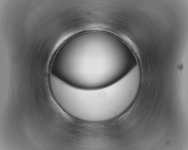 X0000090761384200707201044