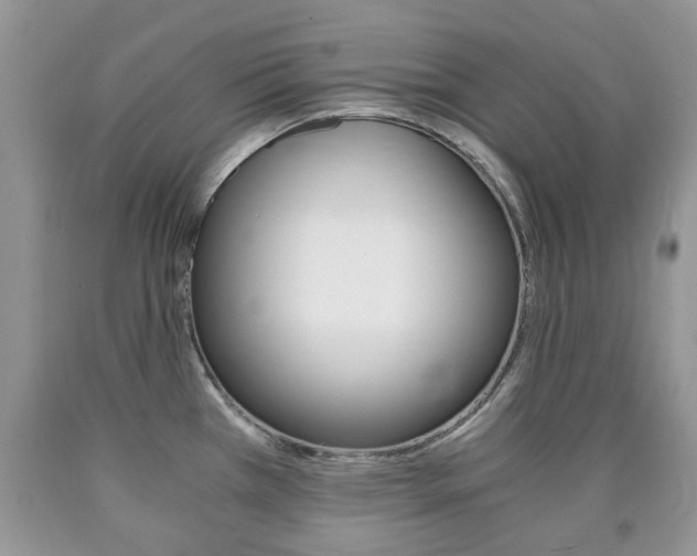 X0000090761385200707201044