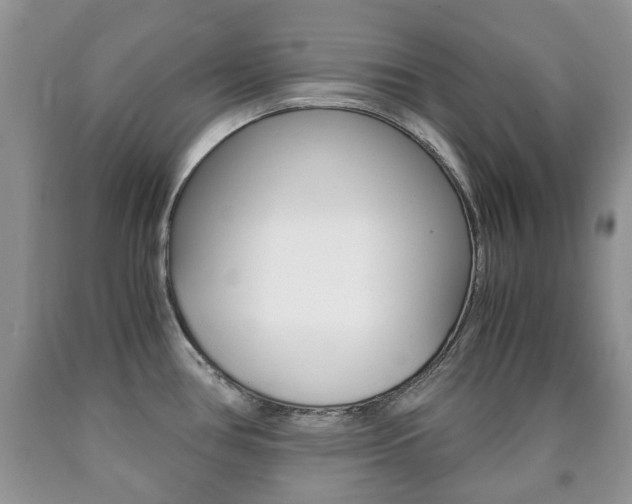 X0000090761386200707201044