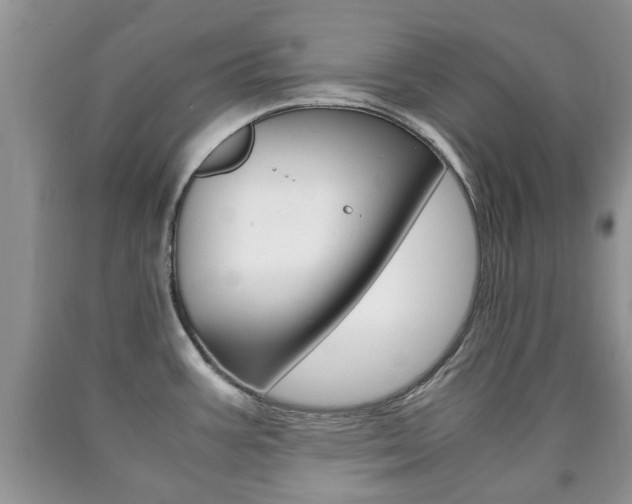 X0000090761387200707201044