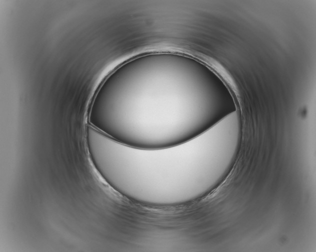 X0000090761388200707201044