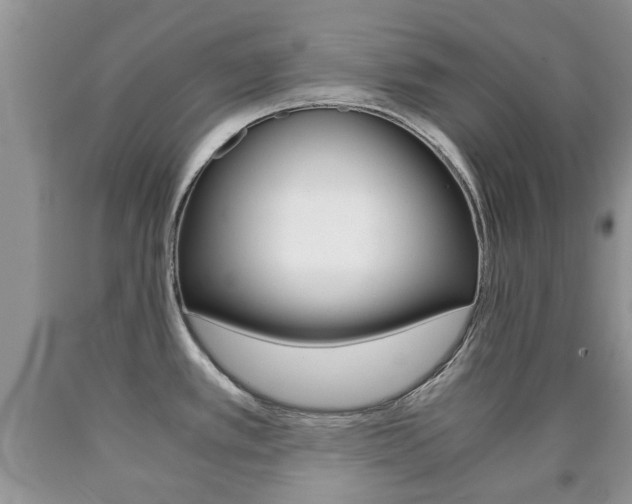 X0000090761389200707201044