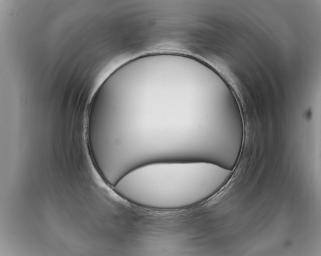 X0000090761390200707201044