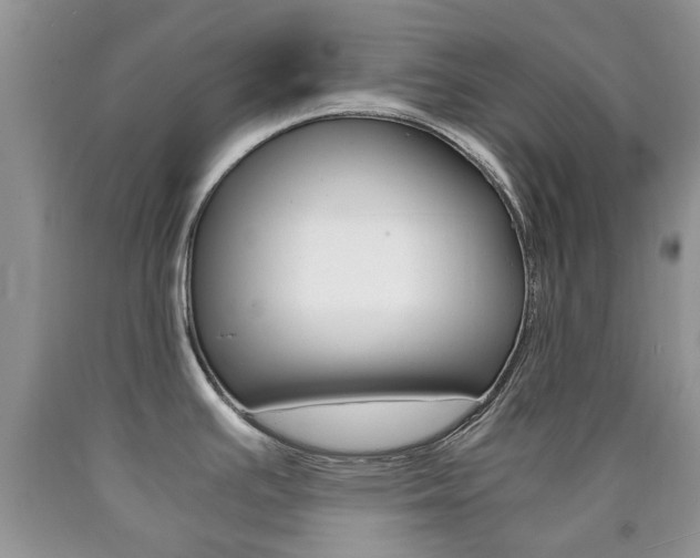 X0000090761391200707201044