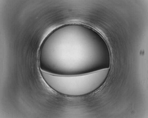 X0000090761392200707201044