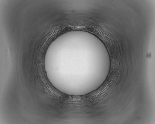 X0000090761393200707201044